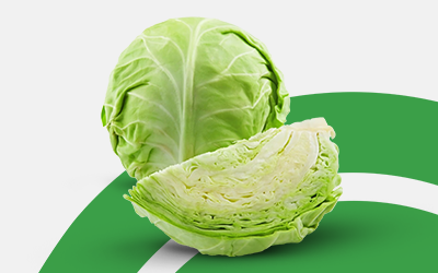 Iceberg lettuce